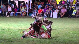 Oklahoma Indian Nations Powwow 2014 [upl. by Naida]