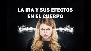 La Ira y sus Efectos en el Cuerpo [upl. by Alle]