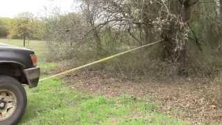 How to clear Brush and Undergrowth [upl. by Alih]