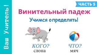 Винительный падеж Как определить винительный падеж [upl. by Kare]