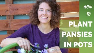 How to Plant Pansies in Pots [upl. by Ydaj]