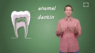 How Do Cavities Work [upl. by Fleming]