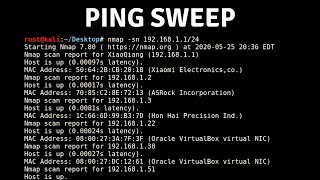 Nmap  Host Discovery With Ping Sweep [upl. by Zindman994]