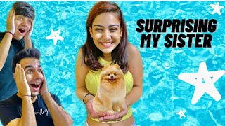 SURPRISING MY SISTER WITH A NEW DOG  Rimorav Vlogs [upl. by Ayrolg]