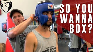 So You Wanna be a Boxer 4Week Boxing Fight Camp [upl. by Ailb]