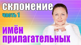 Определяем падежи имен прилагательных Склонение имен прилагательных [upl. by Nappie]