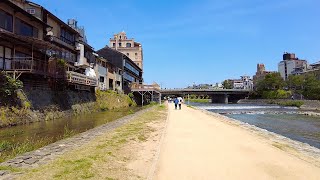 4K Kyoto Walk  Kamogawa River [upl. by Juanne]