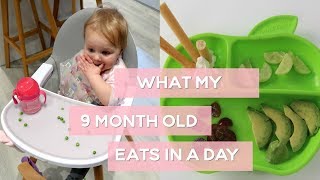 What my 9 Month Baby Eats in a Day [upl. by Mayworm]