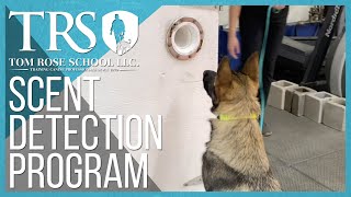 The Tom Rose School Scent Detection Program  Dog Training [upl. by Jez55]