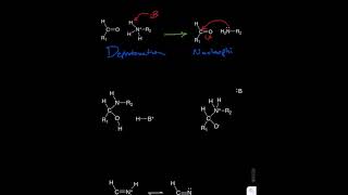 Schiff Base Formation [upl. by Assirehc195]