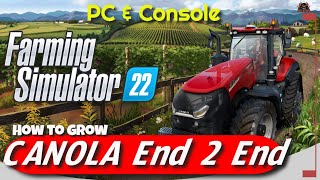 From Seed to Harvest Mastering Canola Growth in Farming Simulator 22 [upl. by Alat]