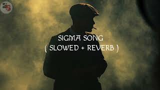 SIGMA RULE Song slowed  Reverb lofi [upl. by Alena]