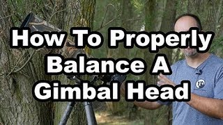 How To Balance A Gimbal Head [upl. by Drofnil69]