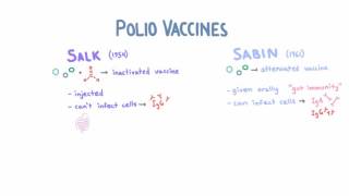 Polio Vaccines  Salk vs Sabin [upl. by Herc]