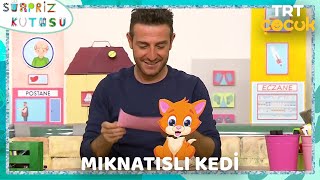 Sürpriz Kutusu  Mıknatıslı Kedi [upl. by Poock840]