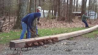 Stump Puller Demo amp Explanation [upl. by Jak552]