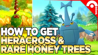 How to Get Heracross amp Other RARE Honey Tree Pokemon  Pokemon Brilliant Diamond [upl. by Muncey]