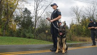 Police Dog Training your best friend [upl. by Aggappora]