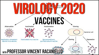 Virology Lectures 2020 19 Vaccines [upl. by Fortin]