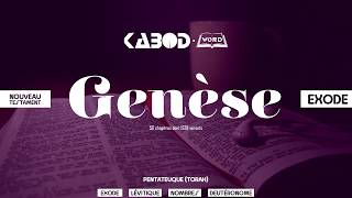 « Genèse »  LAncien Testament  La Sainte Bible audio VF Complète [upl. by Frendel]