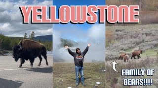 A week in Yellowstone in 11 minutes and 24 seconds [upl. by Analrahc22]