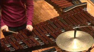 PERCUSSION 101 Xylophone [upl. by Aneehta407]