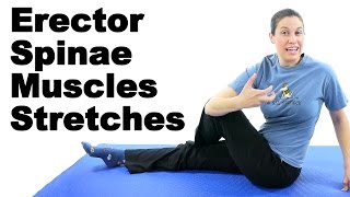 Erector Spinae Muscles Stretches  Ask Doctor Jo [upl. by Nita]