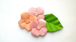 How to make Origami Hydrangea  Origami Flowers [upl. by Fulton584]