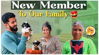 New Member 🥰 nikhilnisha  Nikhil Nisha Vlogs [upl. by Aisinoid]