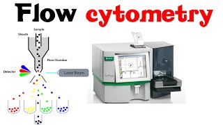 Flow Cytometry [upl. by Dirfliw73]