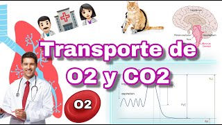 OXÍGENO y CO2 TRANSPORTE EN 4 MINUTOS [upl. by Anitsirc453]