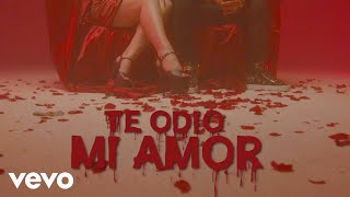 Chacal  TE ODIO MI AMOR Video Oficial ft Yulien Oviedo [upl. by Colson291]