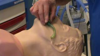 Adult Artificial Airway Insertion The OPA [upl. by Negaet]