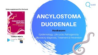 Hookworm Ancylostoma duodenale Parasitology Simplified tutorials for NEETPG NEXT USMLE PLAB [upl. by Orvil46]