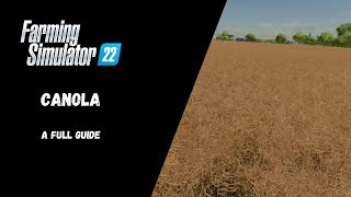 FS22  Canola A Full Guide  Farming Simulator 22 [upl. by Idolah110]