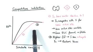 AS Biology  Enzyme inhibition OCR A Chapter 43 [upl. by Higginbotham608]