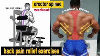 5 erector spinae exercises  How to Get a Strong Low Back [upl. by Witcher]