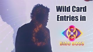 Wild card entry list and voting poll bigg boss 8 Vikas Choice [upl. by Zetrom]