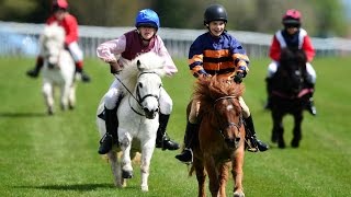 Shetland pony racing [upl. by Anair24]