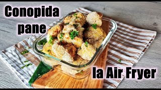 CONOPIDA PANE LA AIR FRYER [upl. by Alicia]