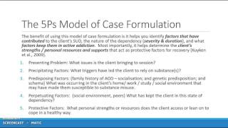 Case Formulation amp Goal Setting [upl. by Dacey]