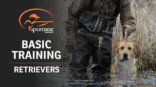 Basic Training  Retrievers [upl. by Etnuaed511]