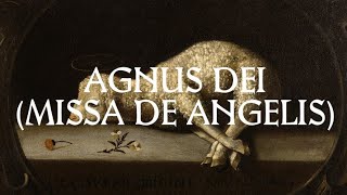 Agnus Dei  Catholic Latin Hymn [upl. by Rett]