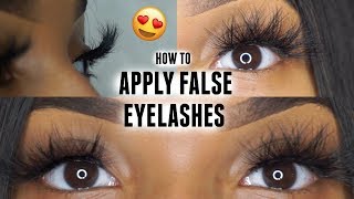 How to Apply Strip Lashes Quick amp Easy  BEGINNER FRIENDLY ♡ [upl. by Drawyeh]