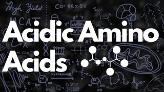 Acidic Amino Acids Aspartate amp Glutamate  MCAT [upl. by Winslow225]