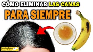 Cómo Eliminar Las Canas Naturalmente En Casa  Remedio Casero Para Las Canas [upl. by Cheatham727]