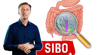 Small Intestinal Bacterial OvergrowthSIBO Steals Your Nutrients – DrBerg [upl. by Cheadle]