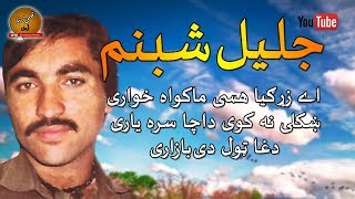 Jalil Shabnam II Hay Zargia Hasay Makawa II Pashto Song [upl. by Cohl]