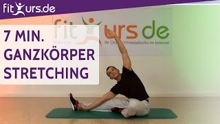 7 Min GanzkörperStretching für zwischendurch [upl. by Ainehs]