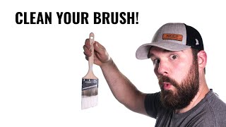 How To Properly Clean a Paint Brush [upl. by Essilec155]